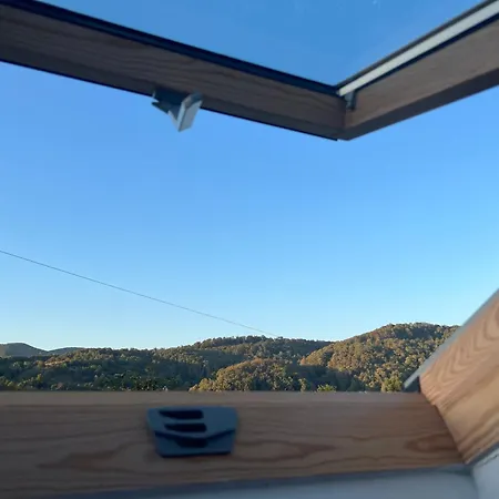 Hotel Petrovich Chust